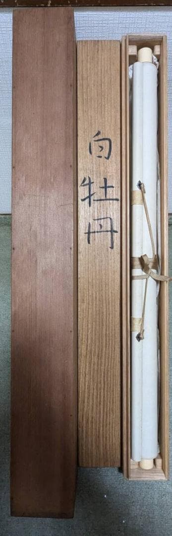 【真作】掛軸　高橋周桑　白牡丹　静寂の美　花鳥画　名品　二重箱入　R148