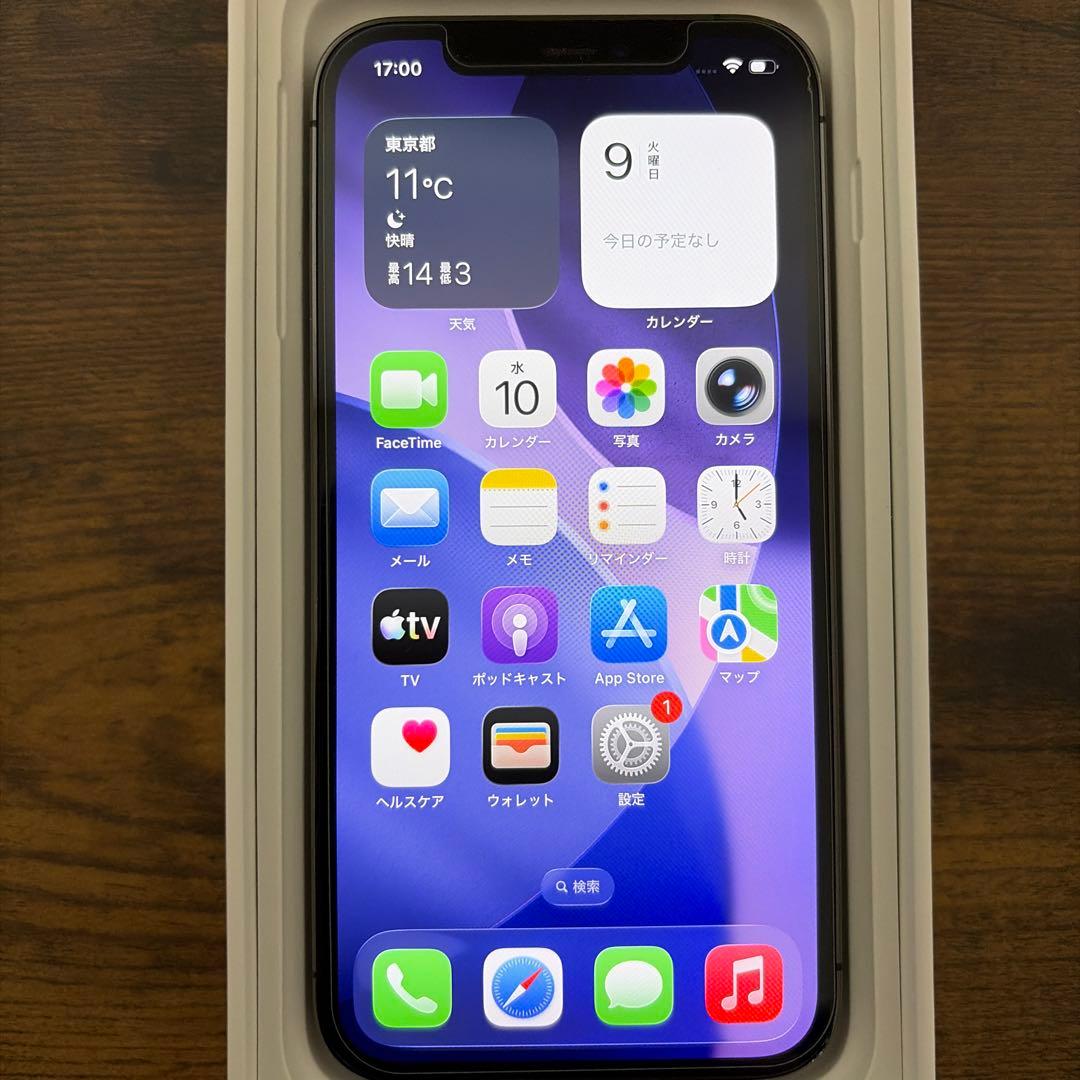 iPhone12Pro 256GB 純正イヤホン付き