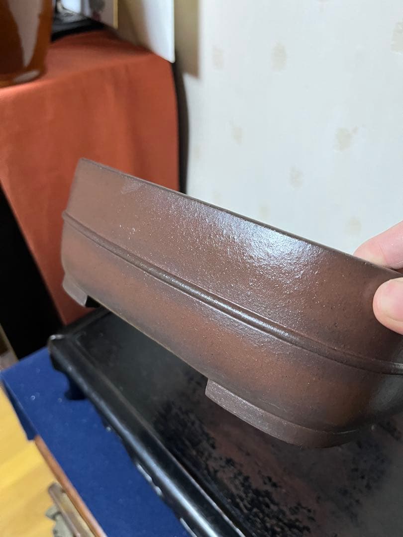 464 盆栽　盆栽鉢　植木鉢　和鉢　山秋