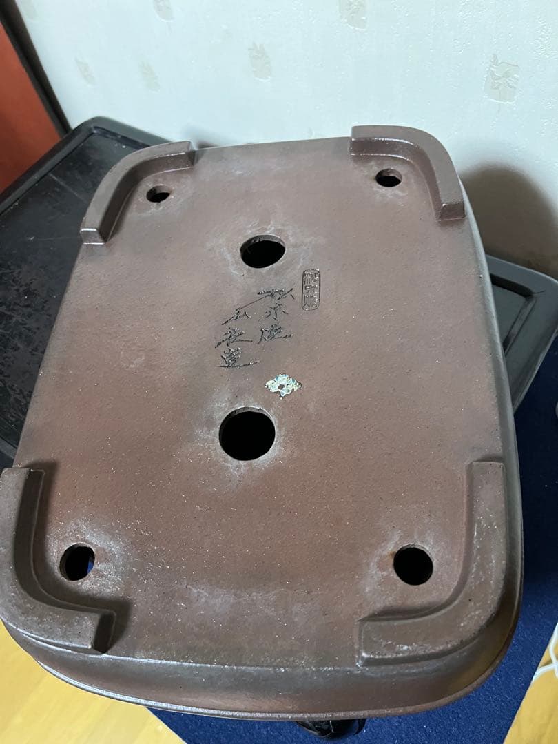 464 盆栽　盆栽鉢　植木鉢　和鉢　山秋