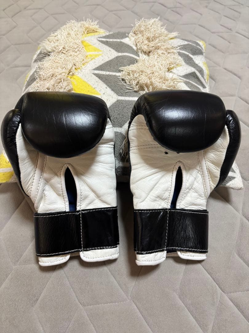 Winning ボクシンググローブ 8オンスオーダーカラーMizunoバッグ付き