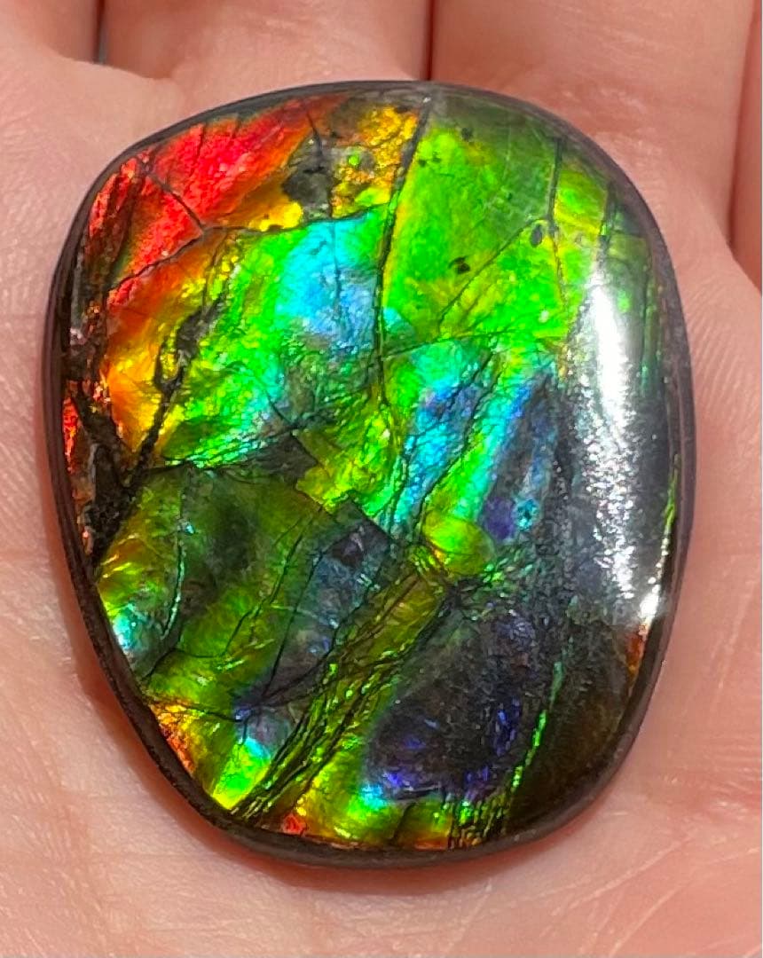 【期間限定セール】アンモライト レインボーカラー ルースストーン