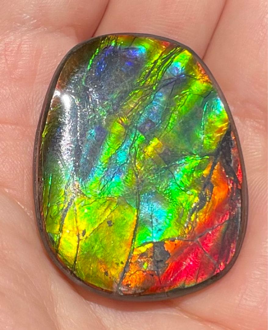 【期間限定セール】アンモライト レインボーカラー ルースストーン