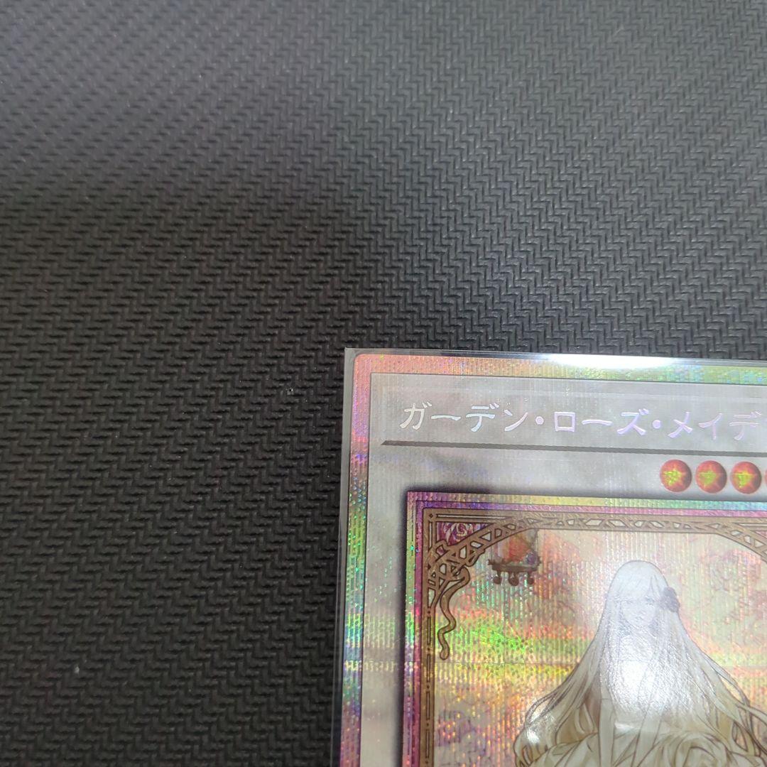 DOOD ガーデン・ローズ・メイデン プリシク　絵違い