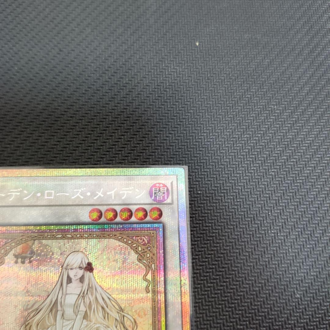 DOOD ガーデン・ローズ・メイデン プリシク　絵違い