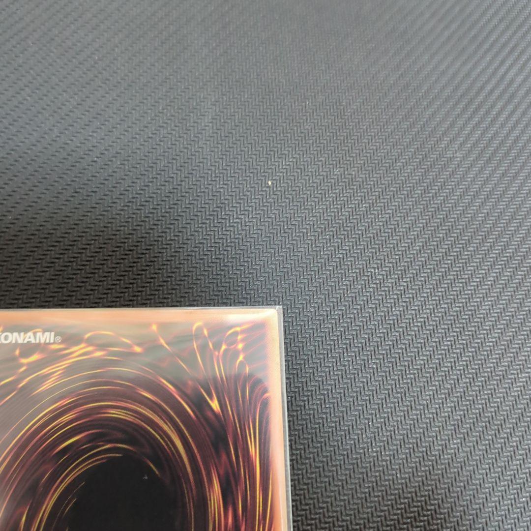 DOOD ガーデン・ローズ・メイデン プリシク　絵違い