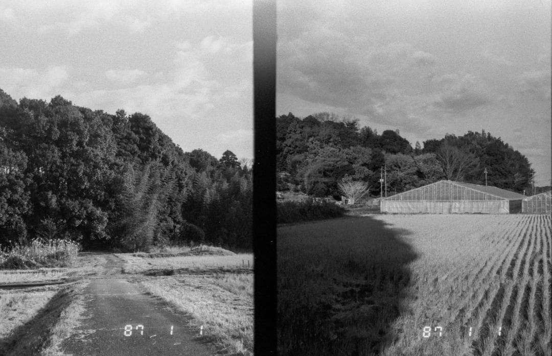 ＜作例あり＞完動　Canon Autoboy TELE 6 ハーフ　切替