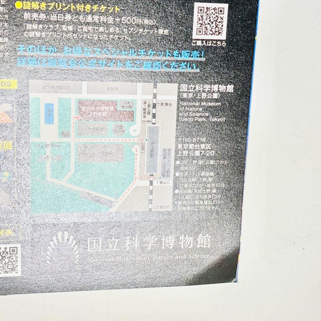 ゾイド　レドンダガブリケーター&ディメパルサーレアボーン2025ver.セット