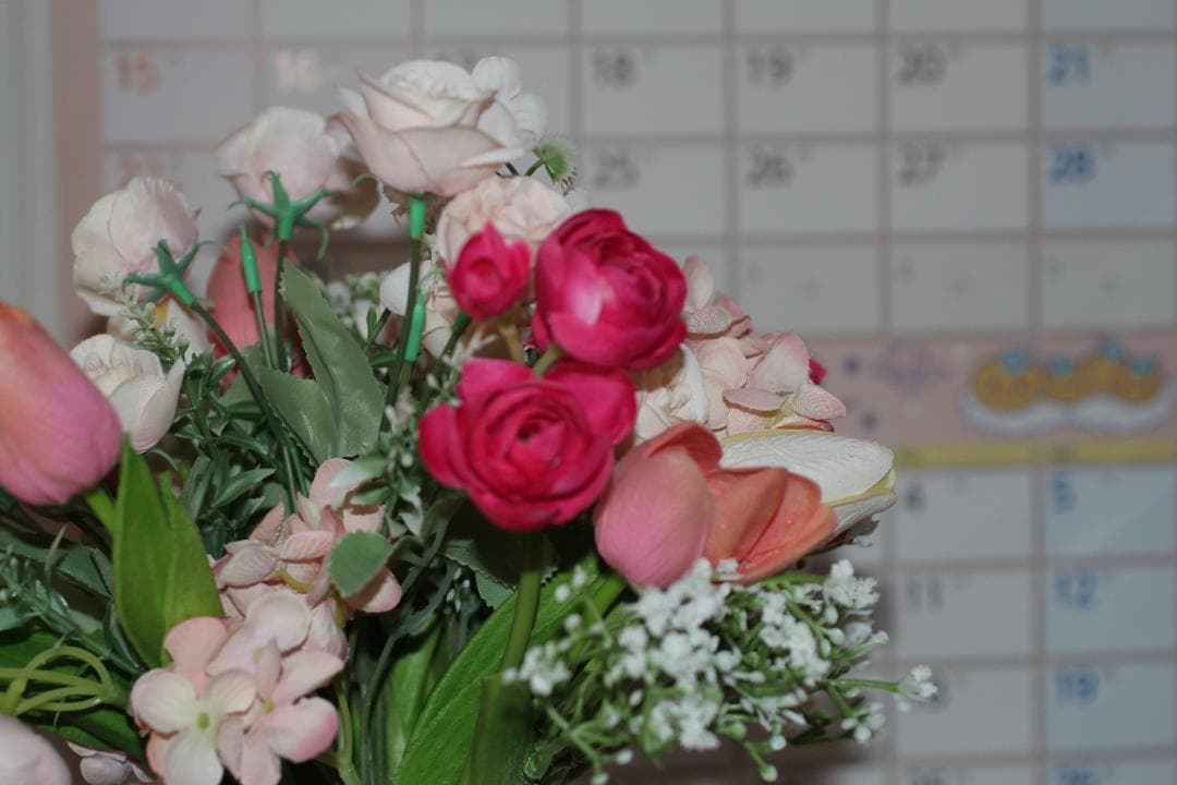 Canon EF50mm f2.5 macro コンパクトレンズ　#5281