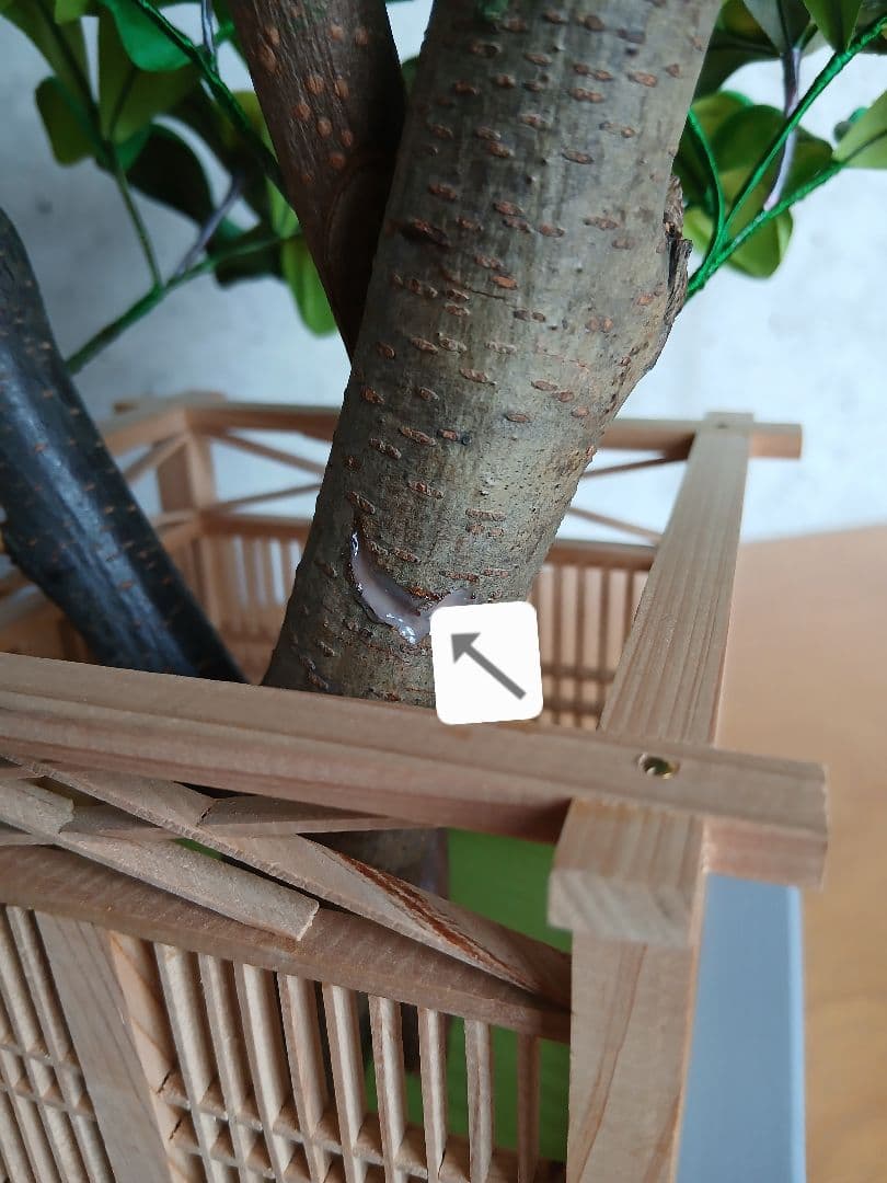 雛人形 桜橘 御殿飾 雲上流 672-101