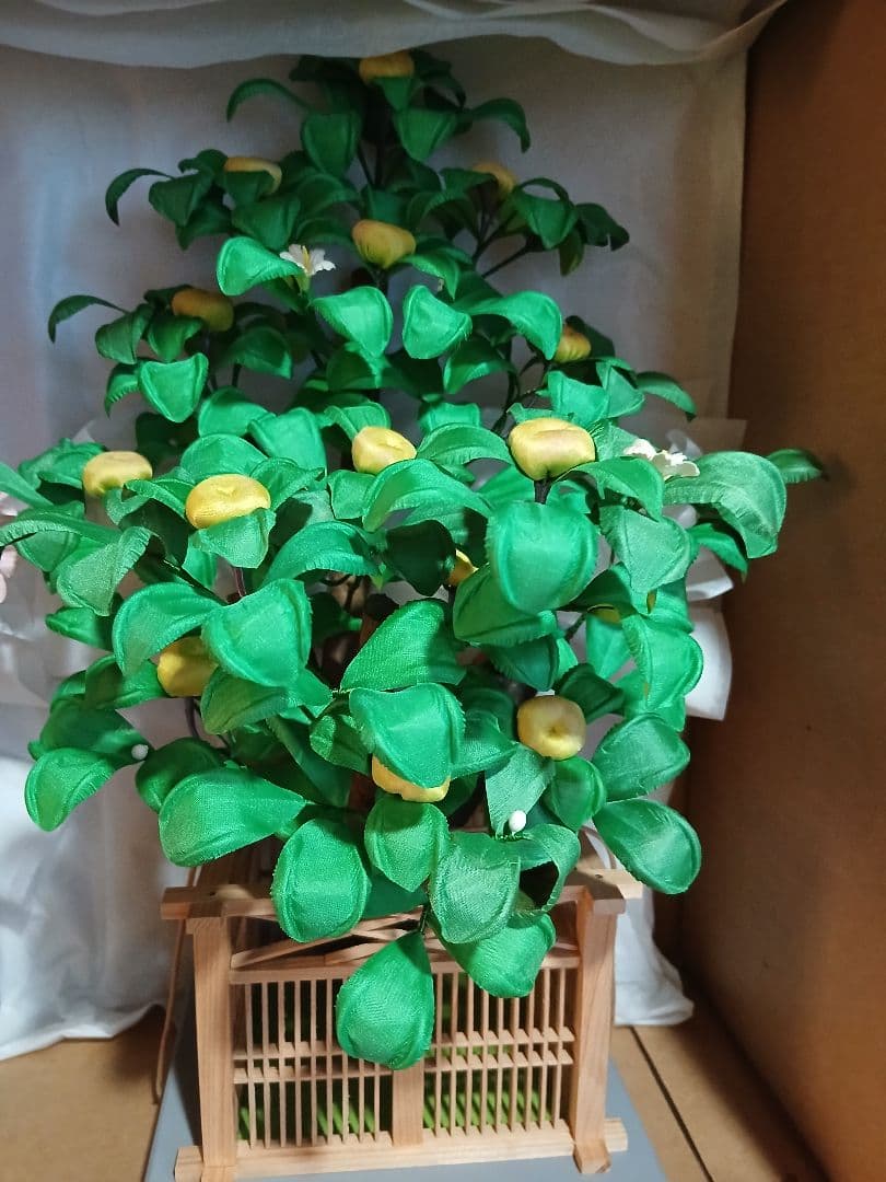 雛人形 桜橘 御殿飾 雲上流 672-101