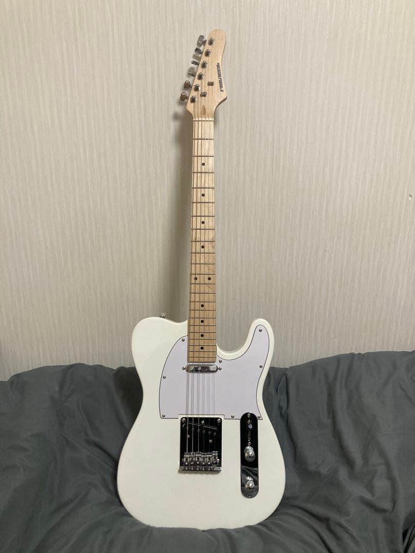 PLAYTECH ( プレイテック ) TL250 テレキャスター