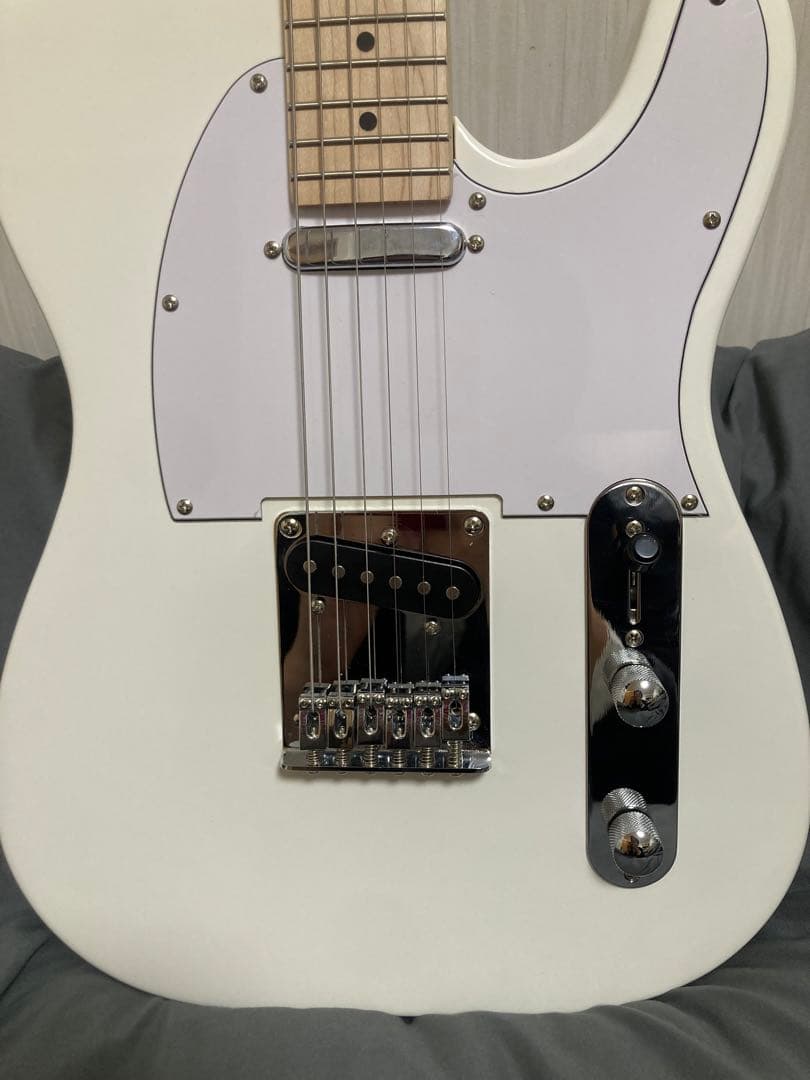 PLAYTECH ( プレイテック ) TL250 テレキャスター