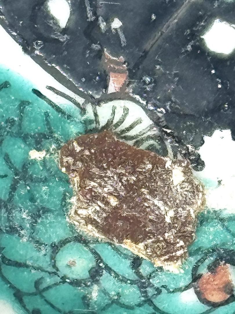 清 同治時代 粉彩花石蝶紋皿 歴史唐物 琺瑯彩 伝世品焼物 中国 WWTT145