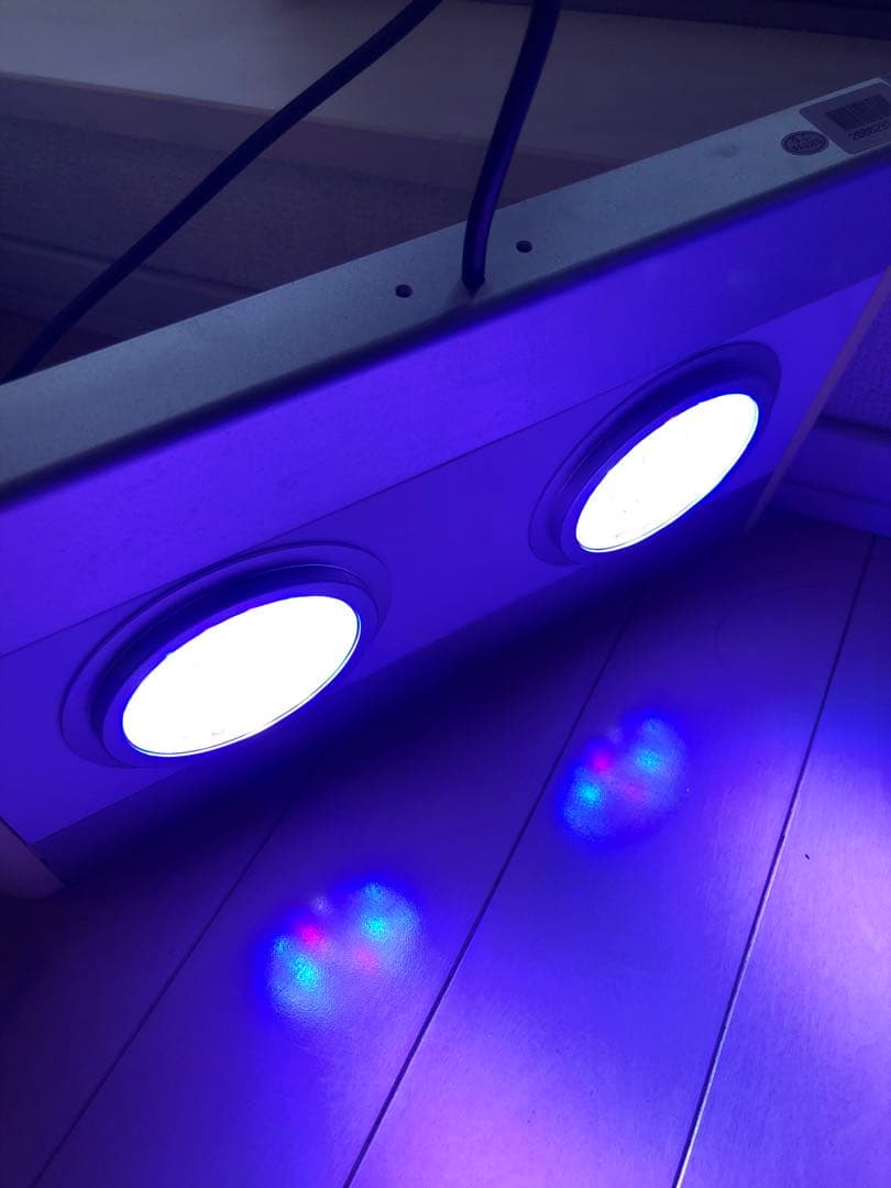 海水魚用品 NEMO LIGHT T140