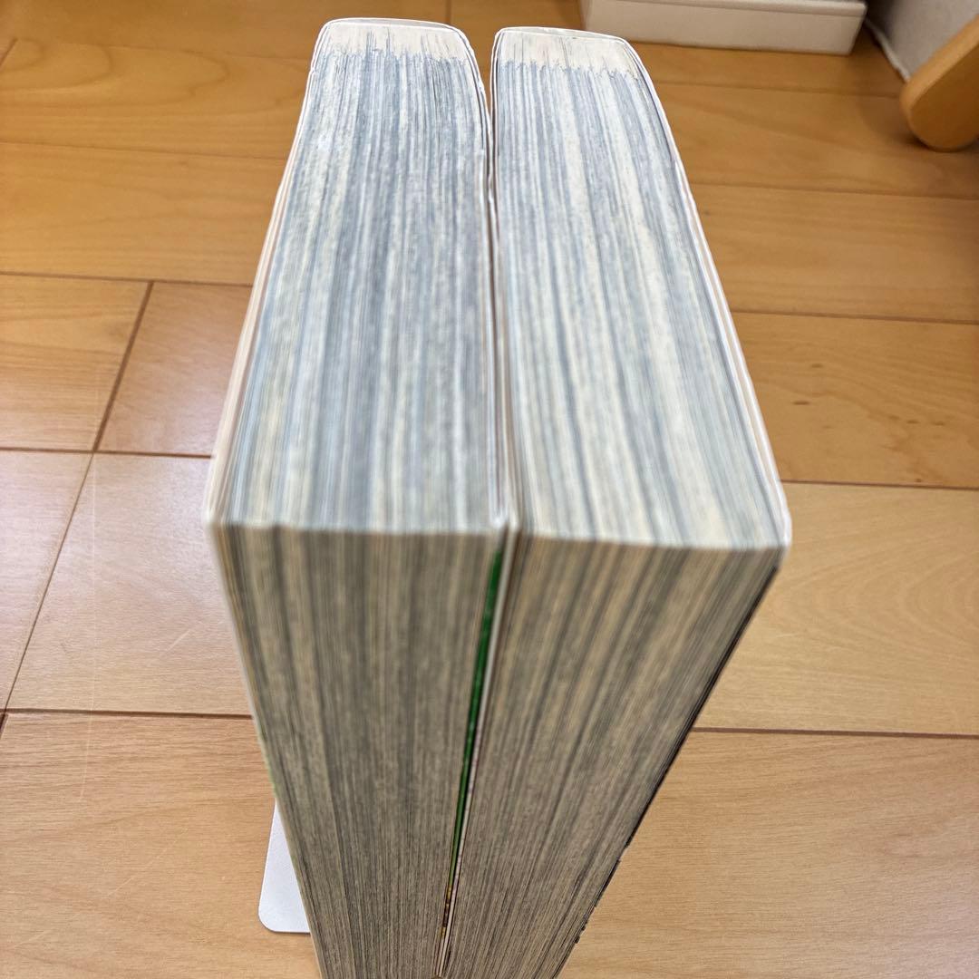 アマテラス 1、2 花とゆめコミックスペシャル　初版発行　美内すずえ