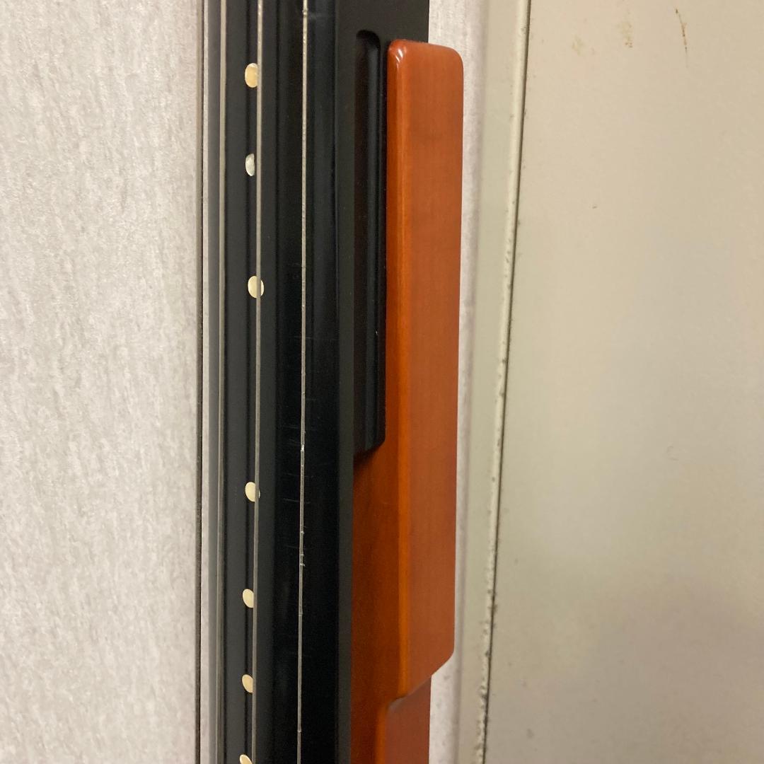 ARIA Solid Wood Bass エレクトリックアップライトベース