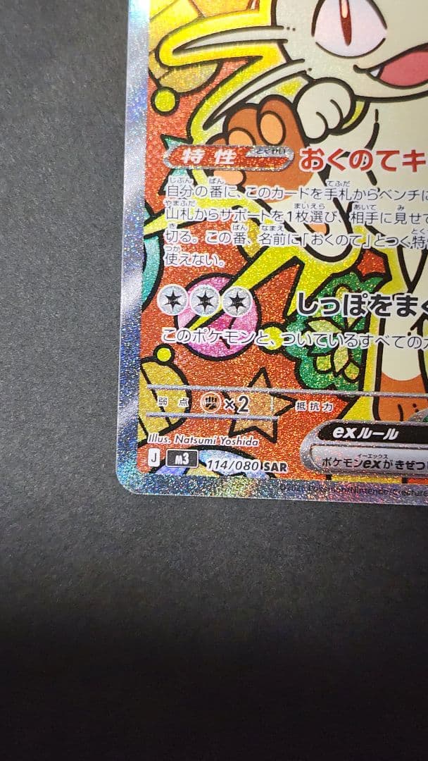 ニャース EX 170HP SAR