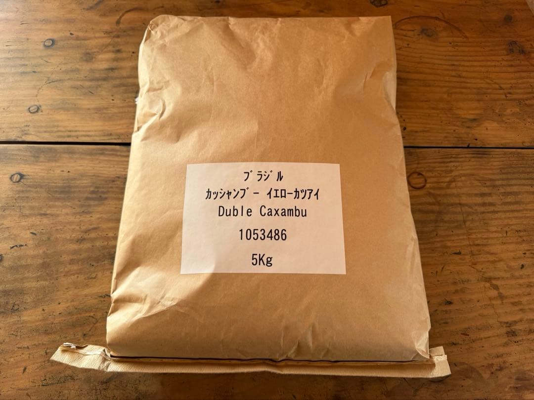 【コーヒー生豆】【未開封】ブラジル　カッシャンブー　イエローカトゥアイ　5kg
