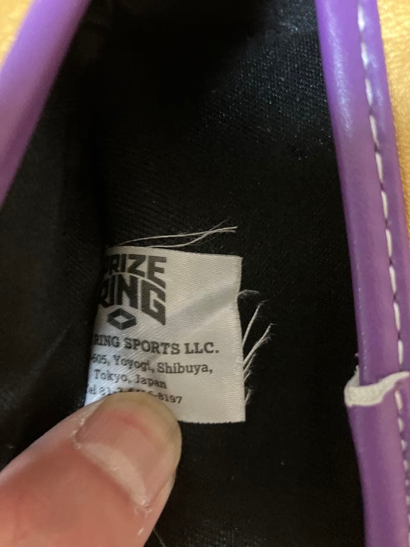 PRIZE RING ボクシンググローブ 10oz 紫金