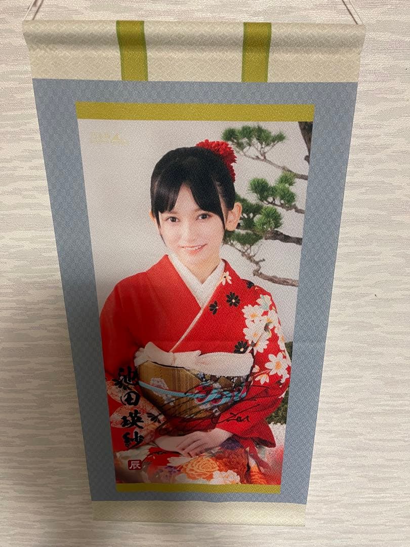 乃木フェス　池田瑛紗　直筆サイン入り　掛け軸　タペストリー　乃木坂46
