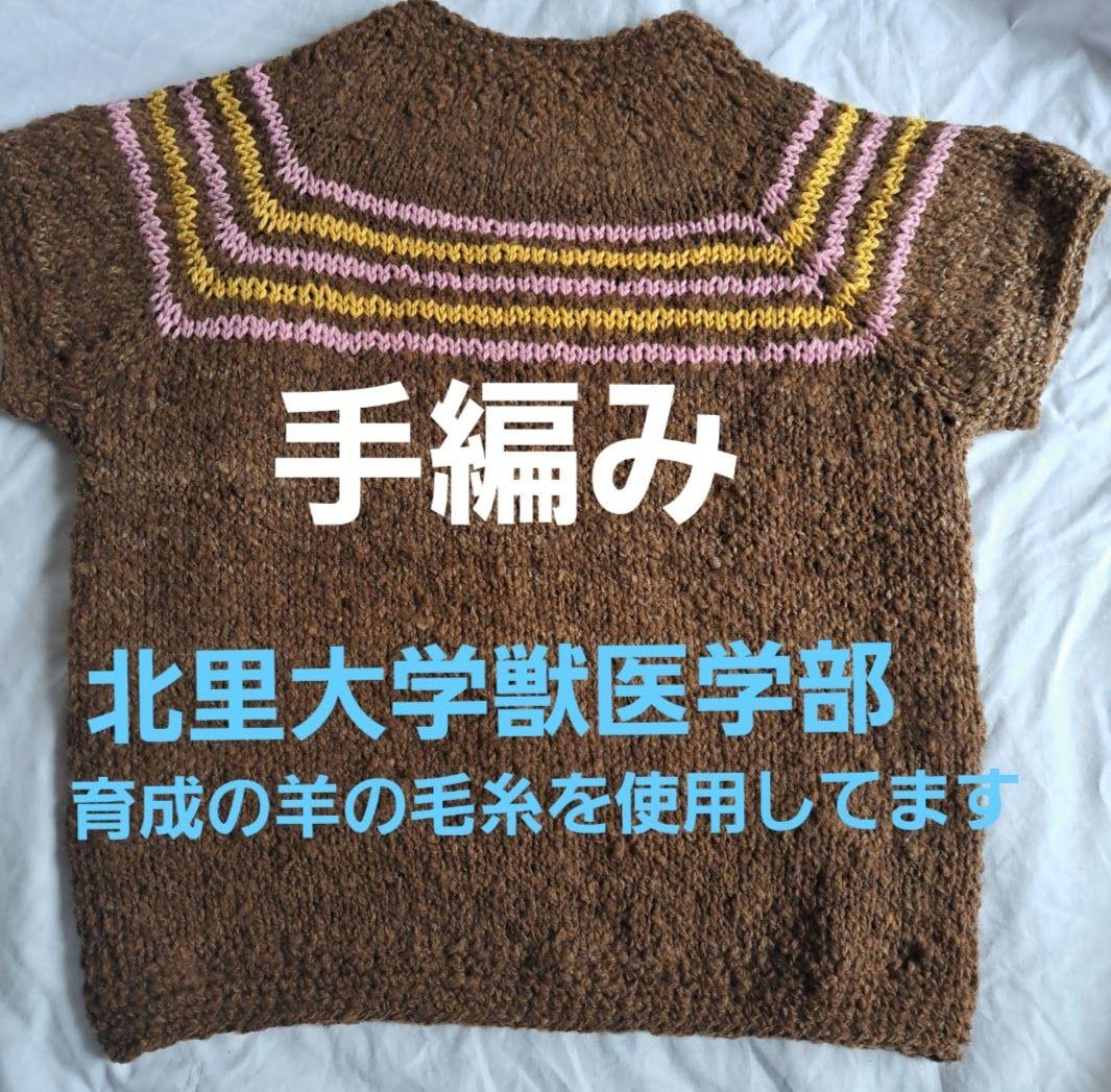 獣医学部　ベスト　半袖　手つむぎ　手編み　北里大学　ハンドメイド　毛糸　羊毛