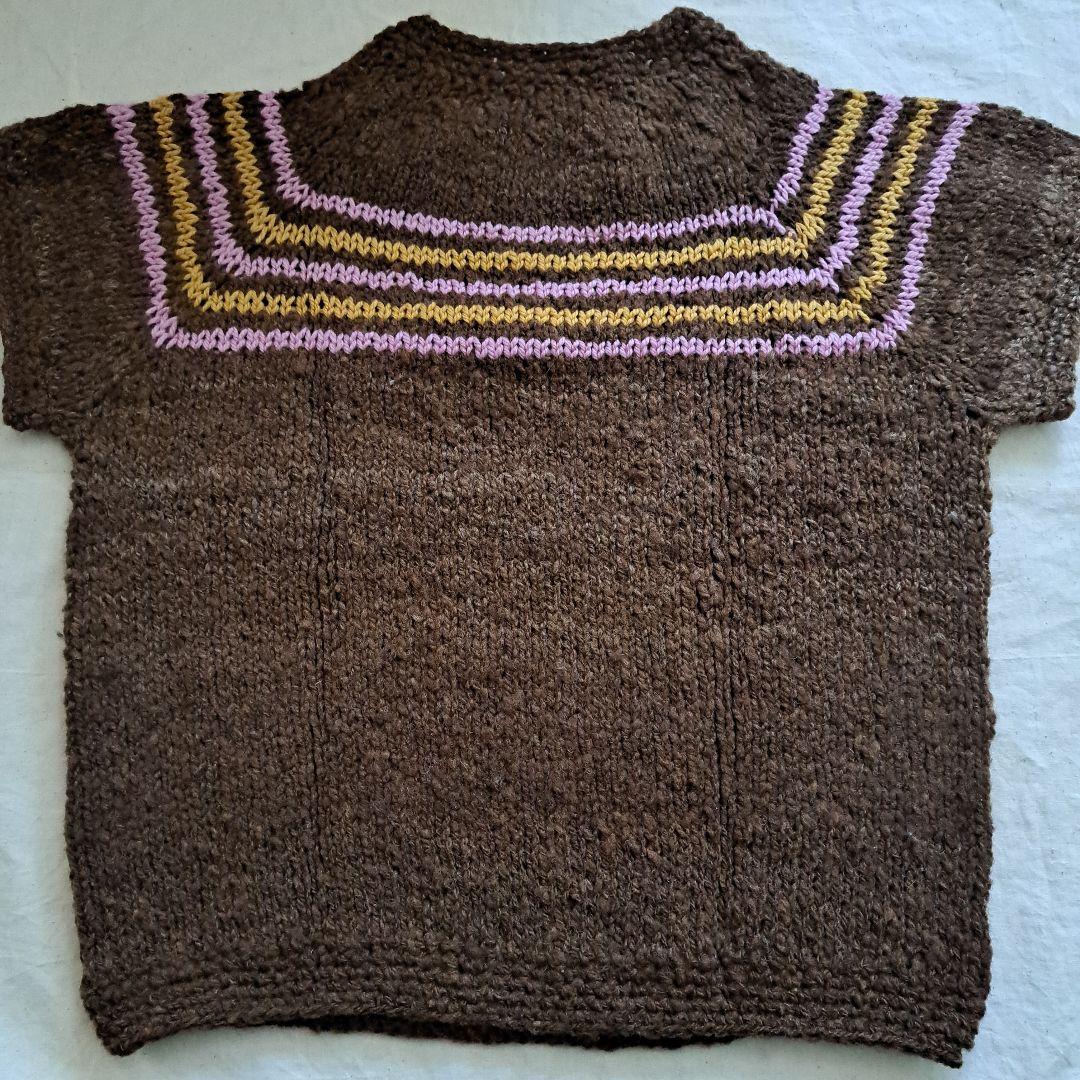 獣医学部　ベスト　半袖　手つむぎ　手編み　北里大学　ハンドメイド　毛糸　羊毛