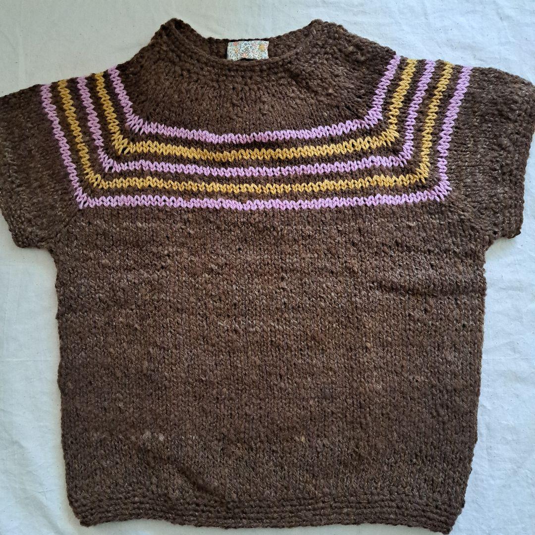 獣医学部　ベスト　半袖　手つむぎ　手編み　北里大学　ハンドメイド　毛糸　羊毛