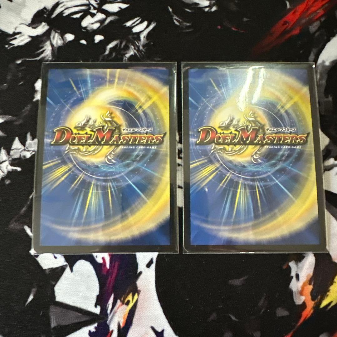 レイクポーチャー 金トレジャー 2枚