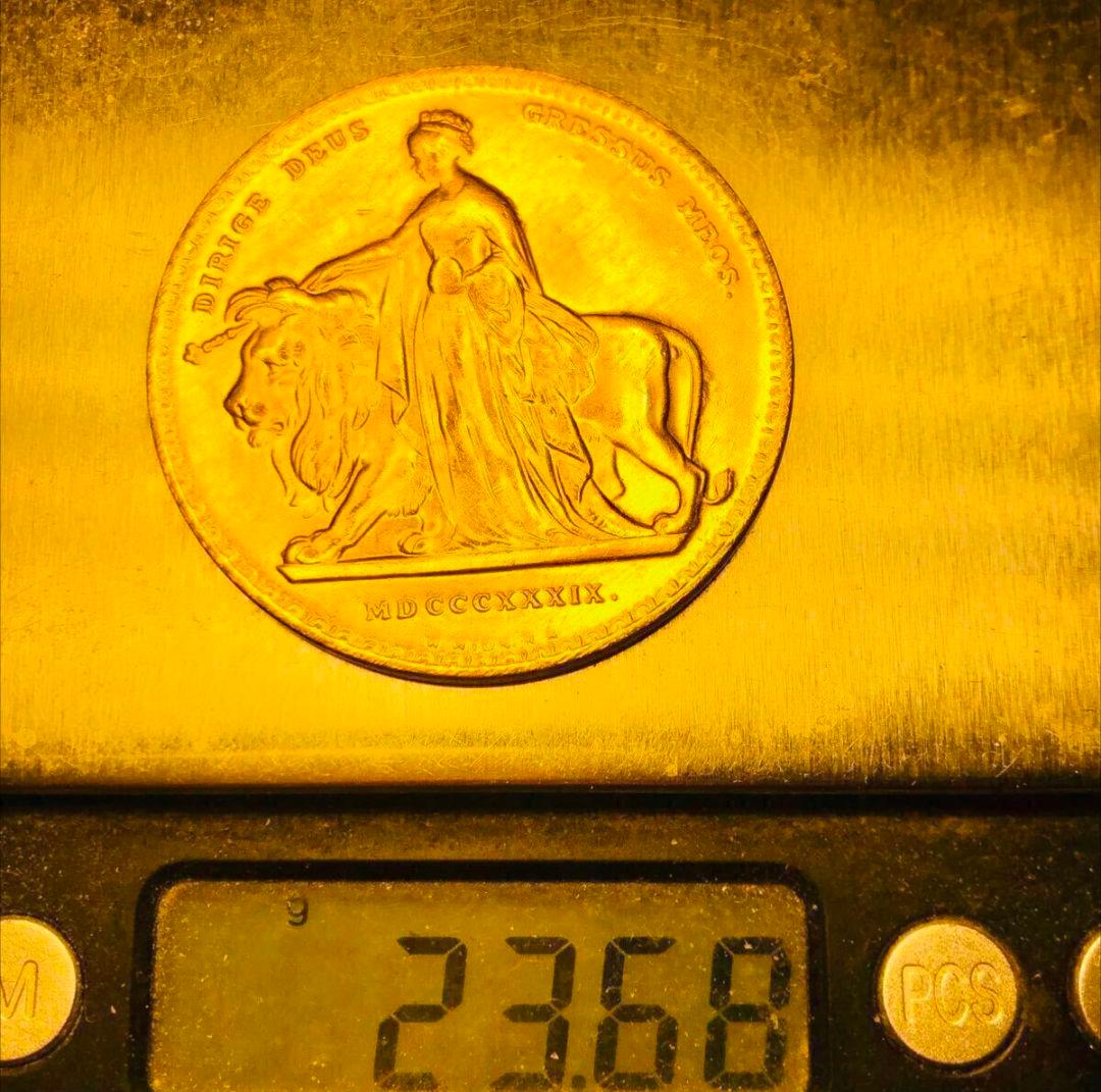 1889年　ヴィクトリア女王　ウナ＆ライオン 5ポンド　イギリス 骨董品