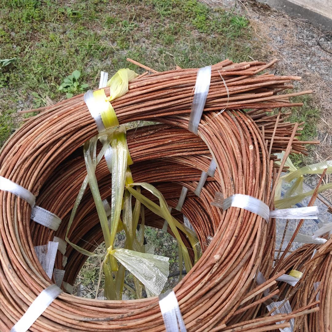 青森県岩木山採取　あけび蔓　70cm～150cm　5kg
