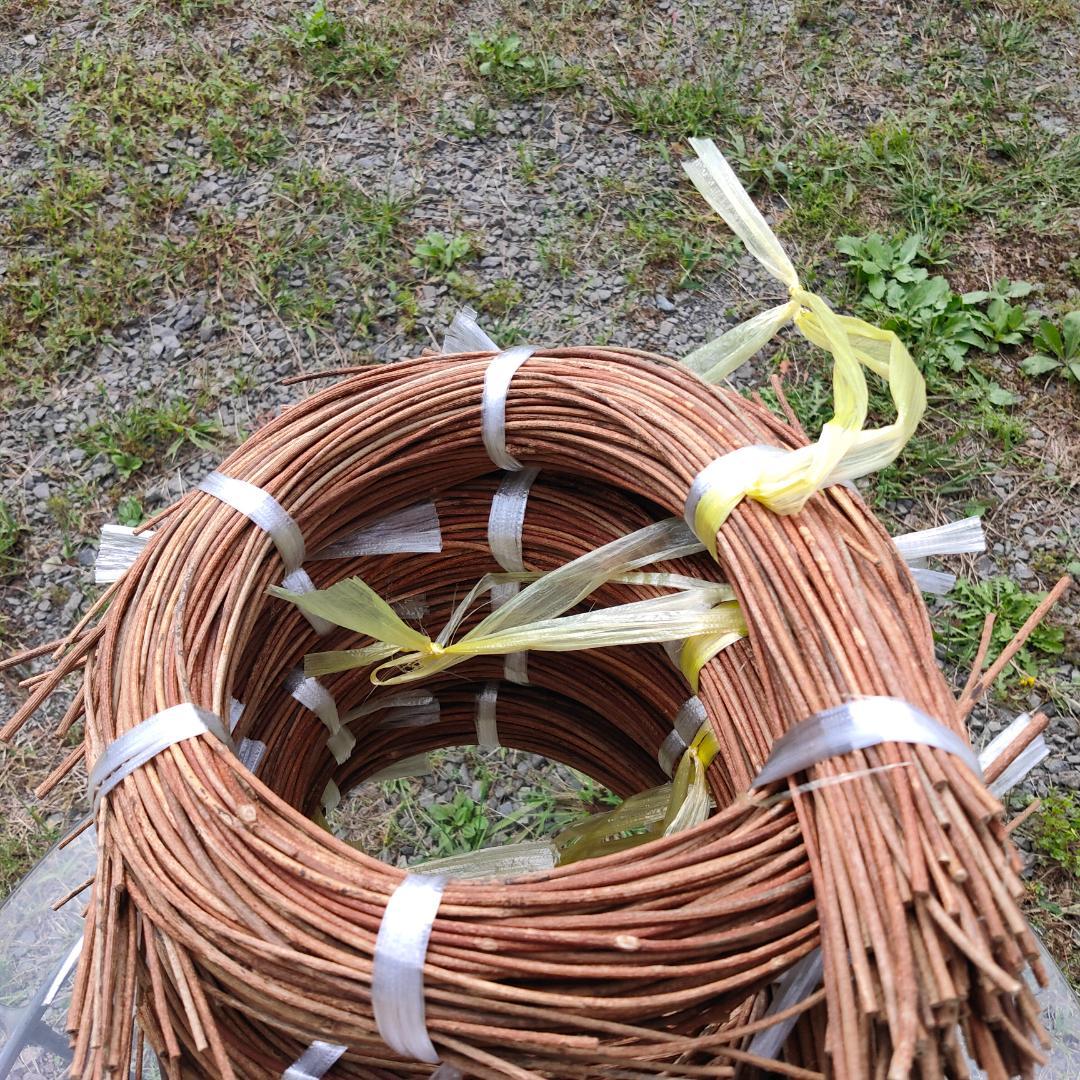 青森県岩木山採取　あけび蔓　70cm～150cm　5kg