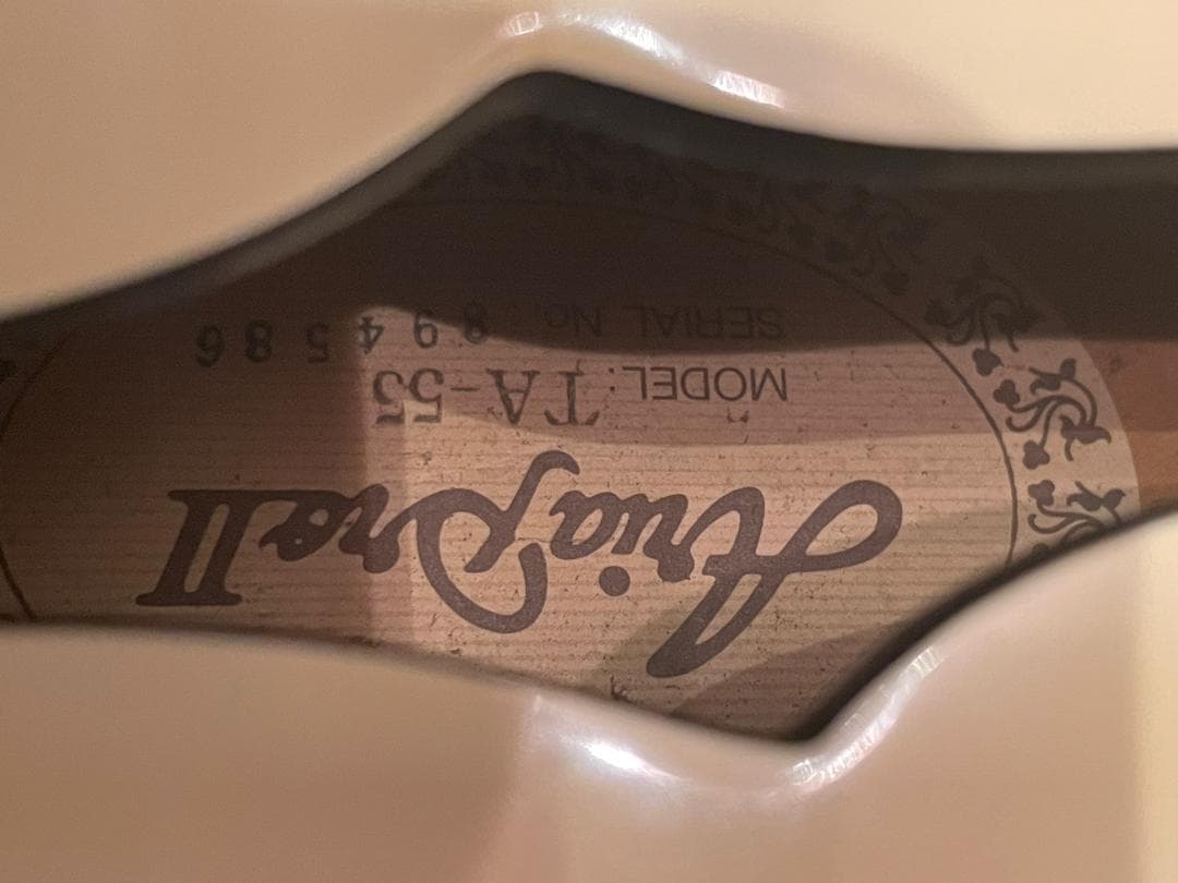 Aria Pro II TA-55　セミアコ？フルアコ？　希少動作品【最終特価】