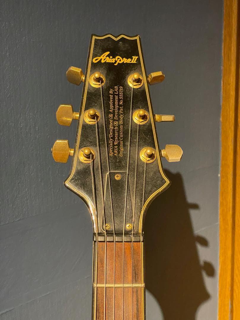 Aria Pro II TA-55　セミアコ？フルアコ？　希少動作品【最終特価】