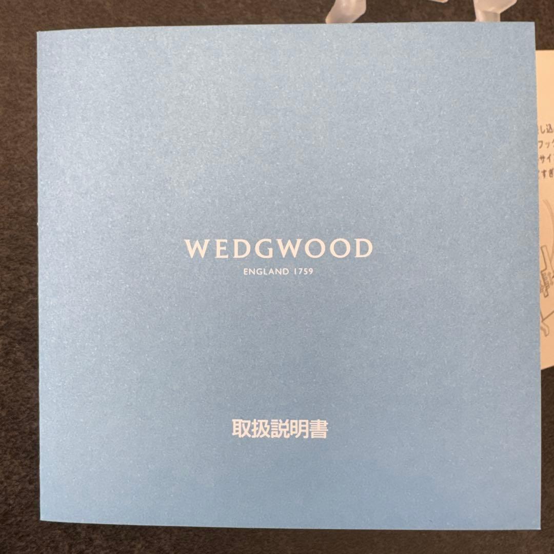  ジャスパー雛ドールプレート2025