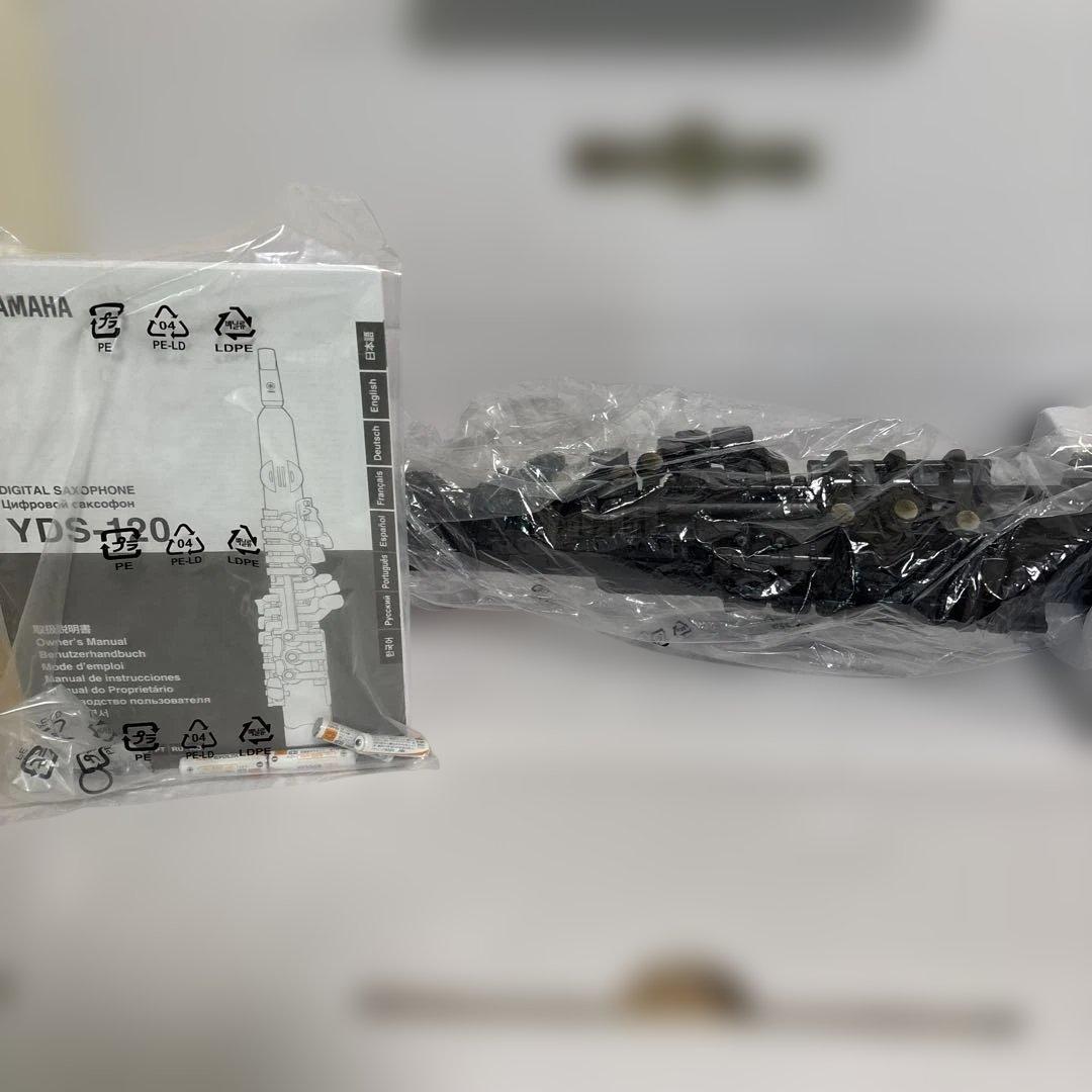 【ちーくん】YDS-120 本体、付属品完備、ストラップ、充電式電池箱付き