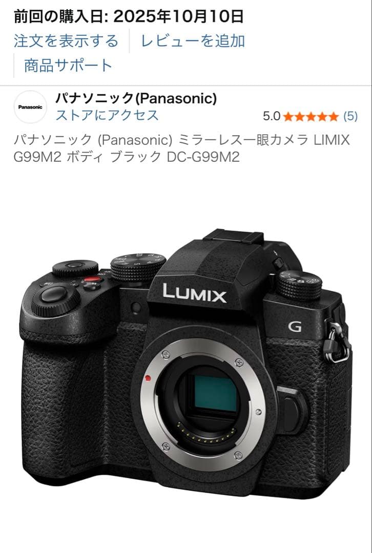 【美品】LUMIX G99M2 G99II ボディ 付属有