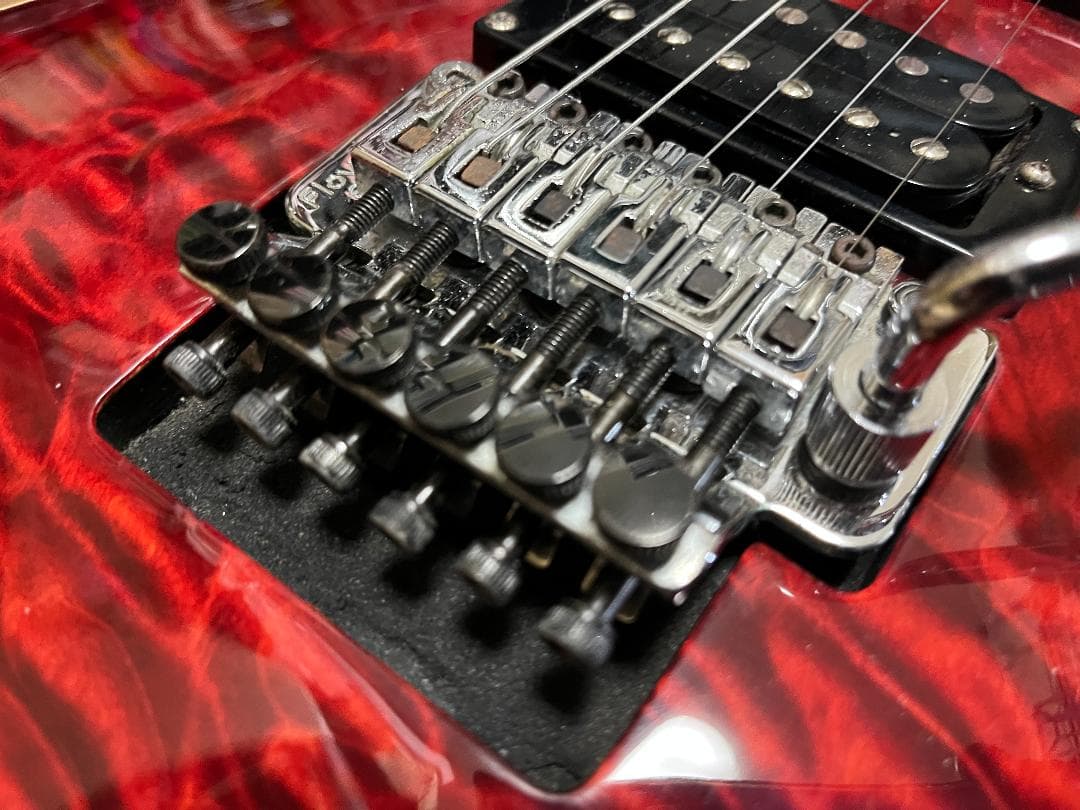 greco wild scamper グレコ　Floyd Rose