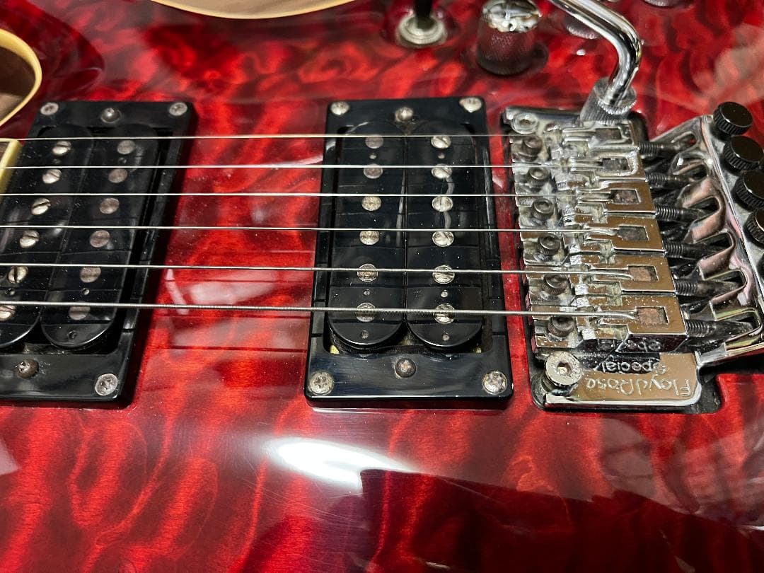 greco wild scamper グレコ　Floyd Rose