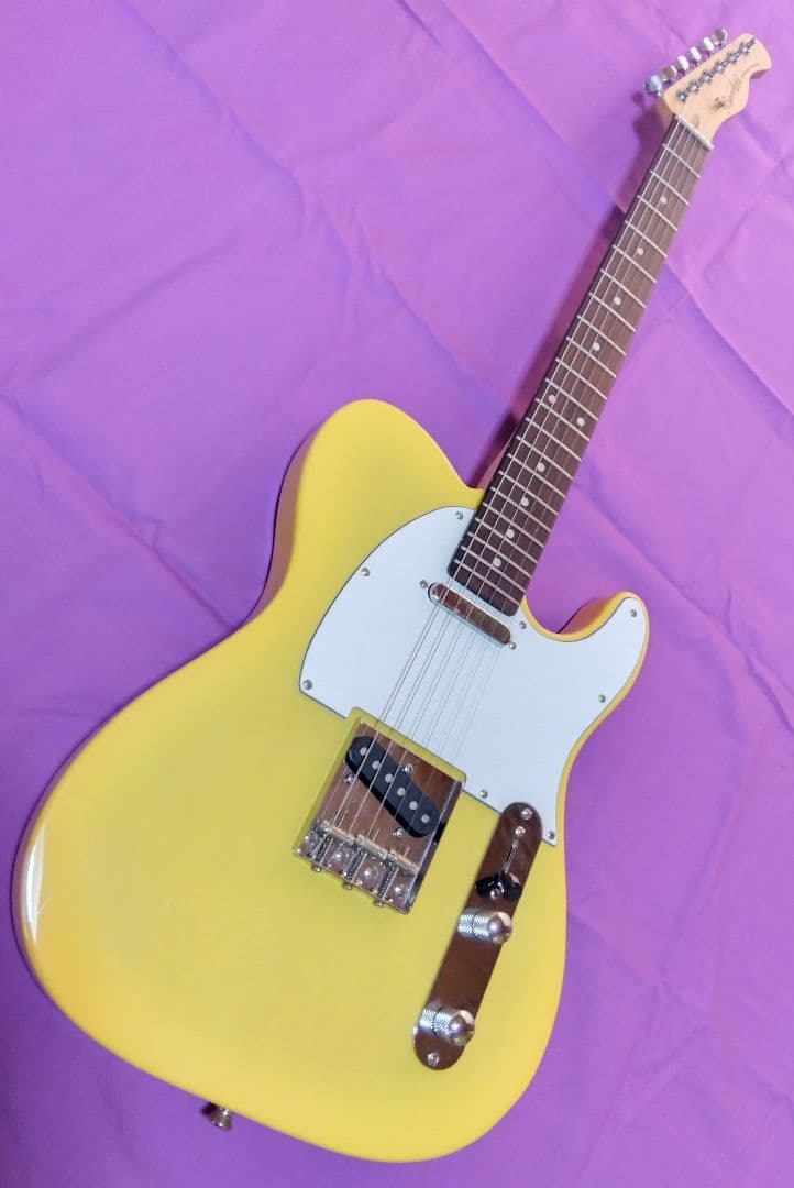 バッカス テレキャスター Universe series