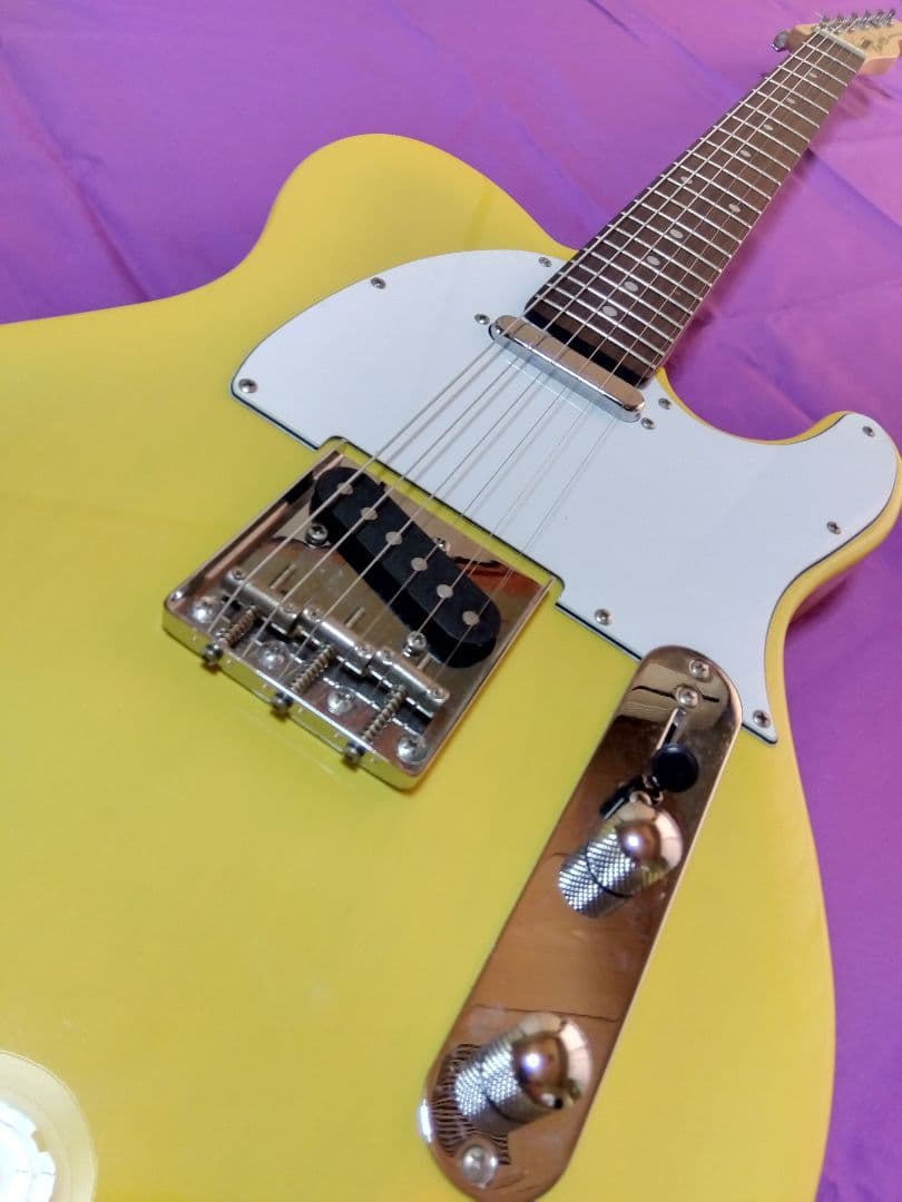 バッカス テレキャスター Universe series