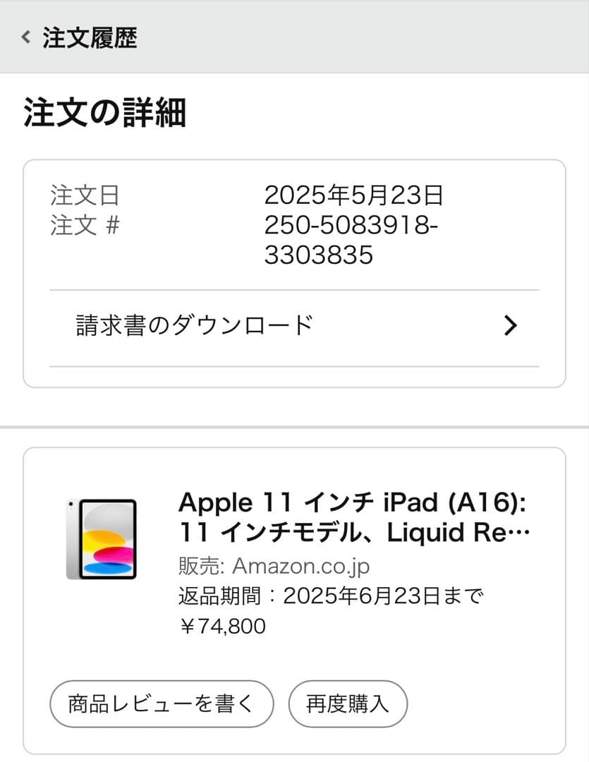 【極美品】Apple iPad (A16) ⭐︎256GB⭐︎Wi-Fi⭐︎シルバー
