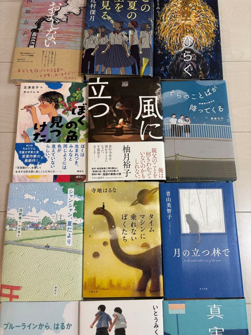 中学受験　国語対策用　出題頻出本　20冊セット