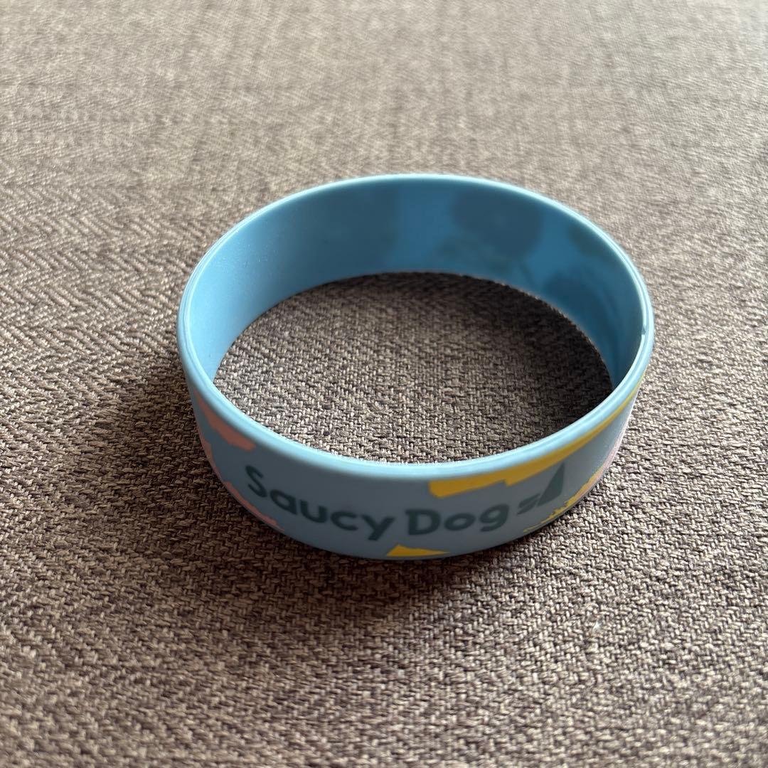 ヤングスキニー Saucy Dog reGretGirl マカロニえんぴつ