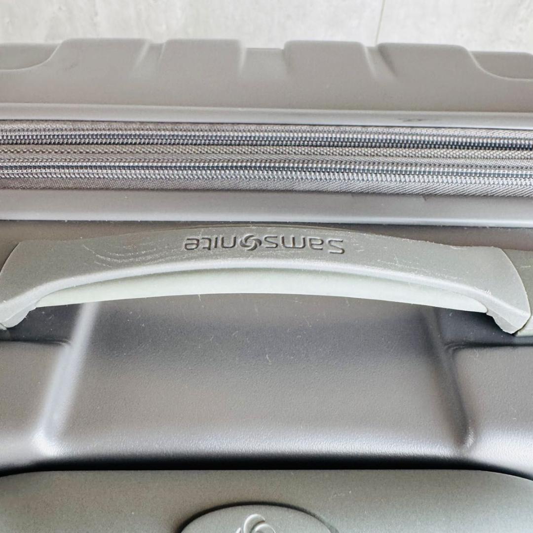 サムソナイト 66L NIAR ニアール スピナーマットシルバー キャリーケース