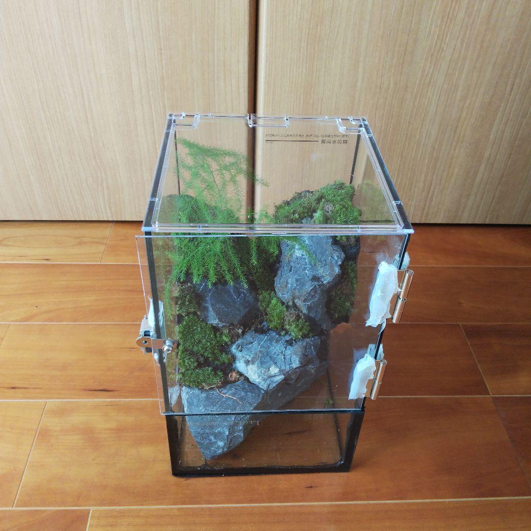 【受注生産】扉付き水槽　イモリウム パルダリウム テラリウム