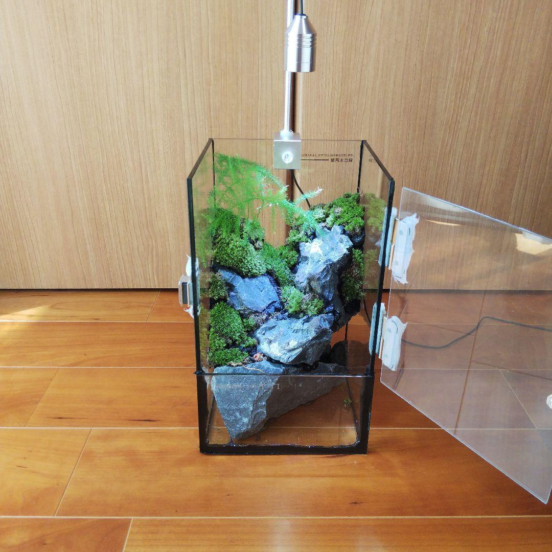 【受注生産】扉付き水槽　イモリウム パルダリウム テラリウム