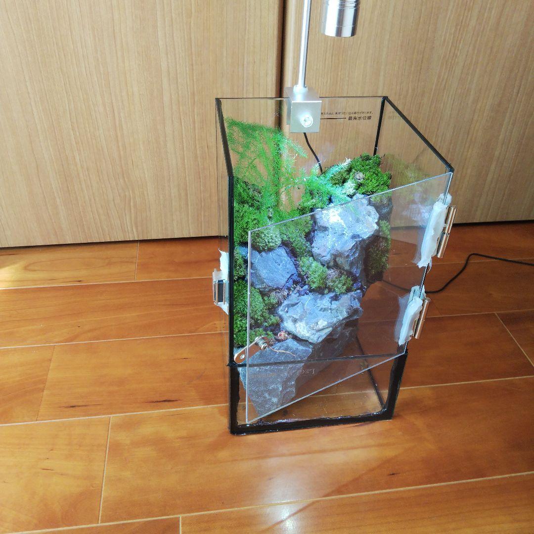【受注生産】扉付き水槽　イモリウム パルダリウム テラリウム