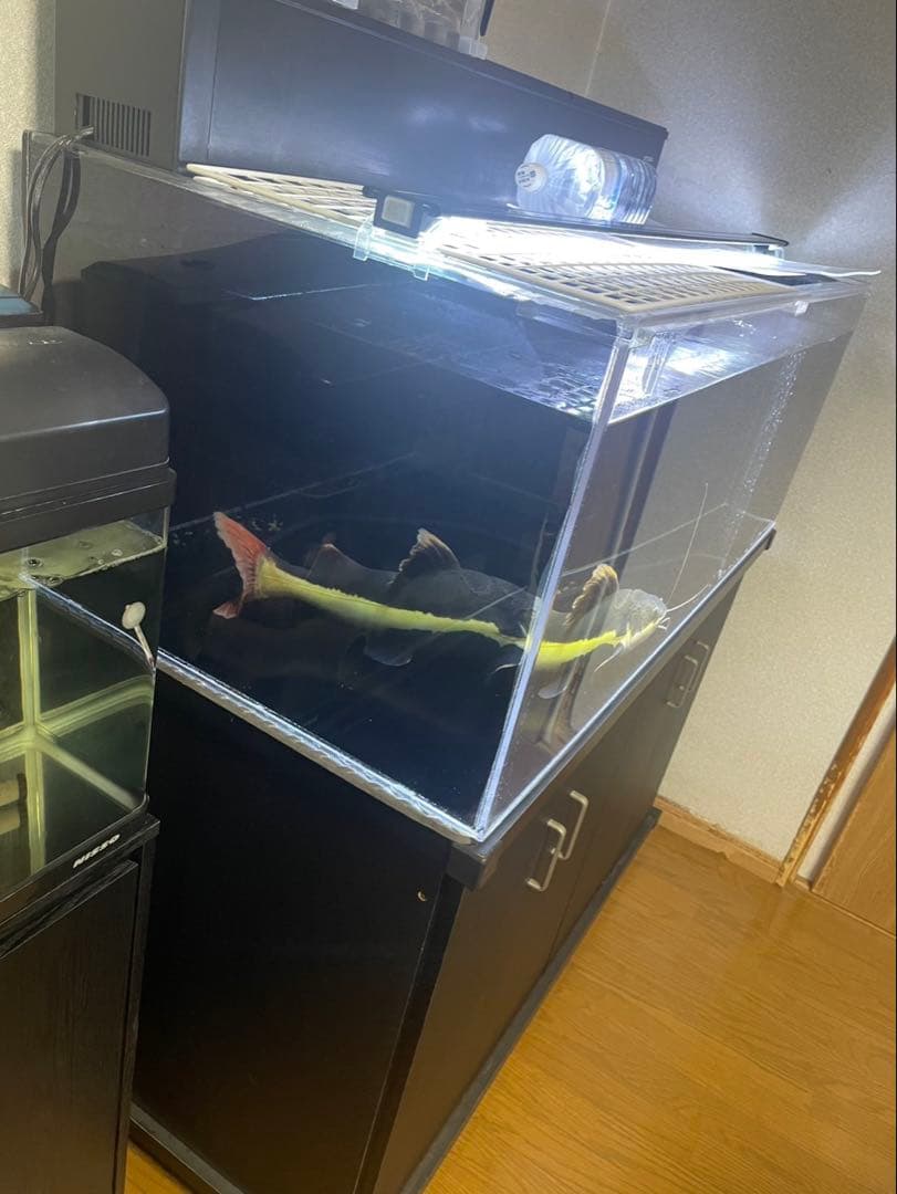アクリル水槽と黒キャビネットセット