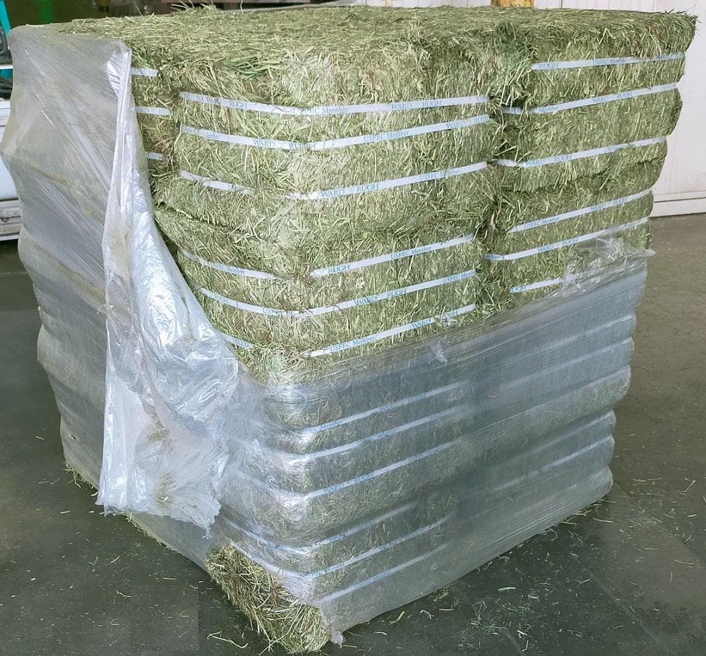 【3/16まで】US産 チモシー 100kg ２番刈り ソフトSプレミアム